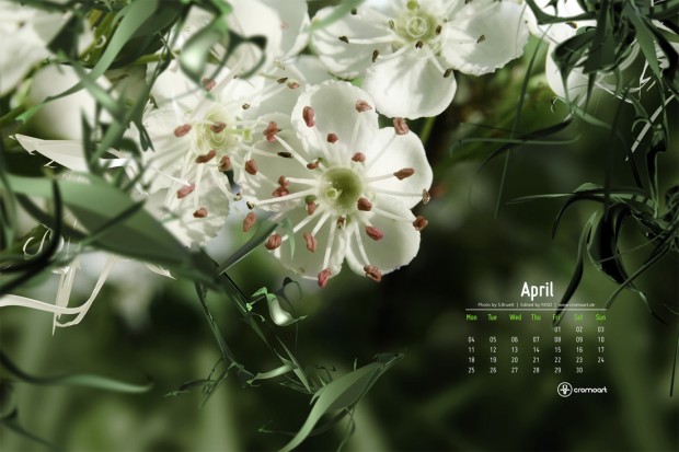 calendar 2011 april. april 2011 calendar wallpaper.