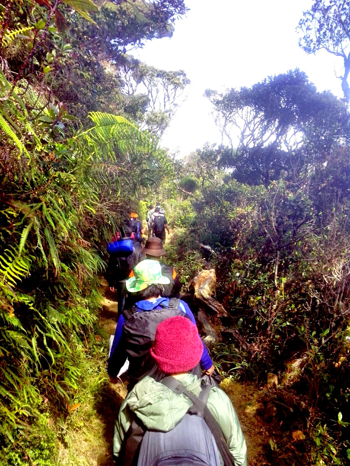 Trekking Ambaneg Trail