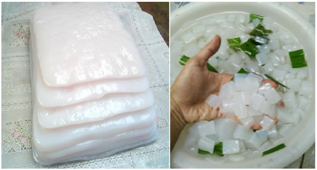 Nata De Coco