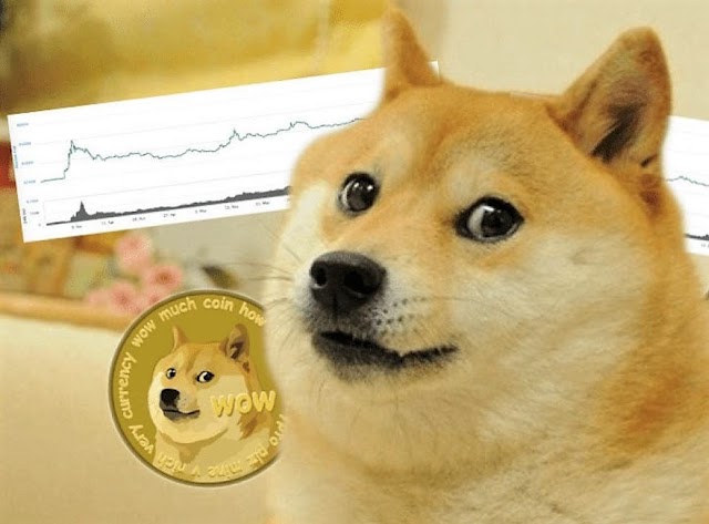 After GameStop, Dogecoin’s 800% rise in a day