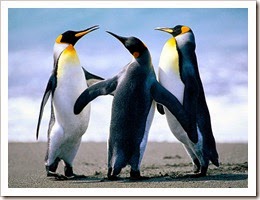 Penguins