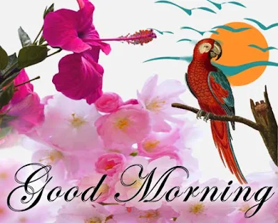 Bengali good morning sms