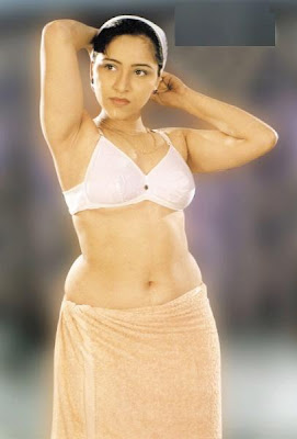Mallu Actress  Images on Mallu Actress Hot Photos  Reshma Hot Photo