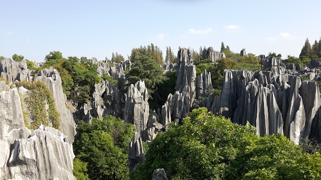 stone forest china