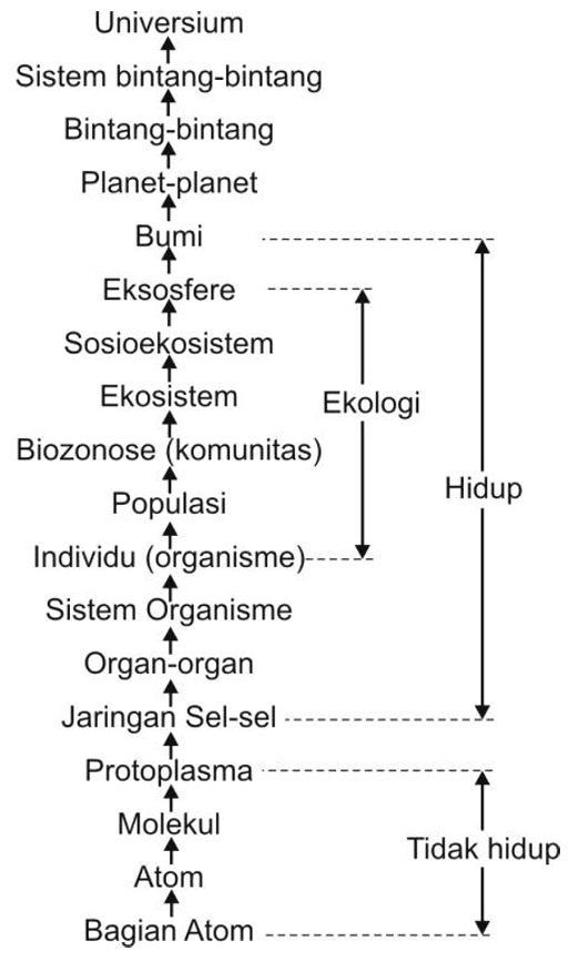 EKOLOGIS, EKOLOGI adalah