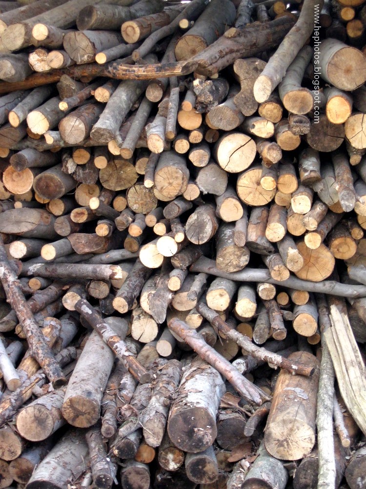 wood logs ready for fireplace or to cook meat :). zaman: 1/28/2009