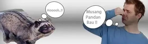 Cara Mengurangi Bau Pada Musang Panda