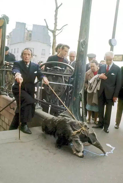 Dalí con un oso hormiguero por París