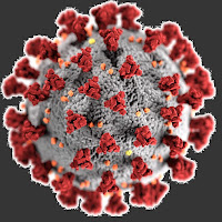 picture of corona virus, from Centres for Disease Control.