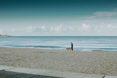 A man and a brown dog walk on the beach in the distance