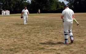 Brigg Town Cricket Club v Alford 2nds - July 2018 - picture four  on Nigel Fisher's Brigg Blog