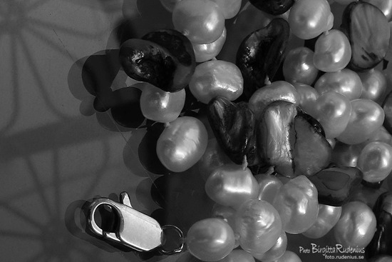 bw_20110910_pearls3