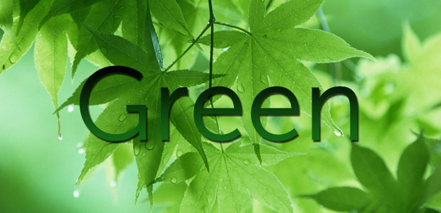 Green Wallpaper