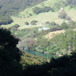 View album