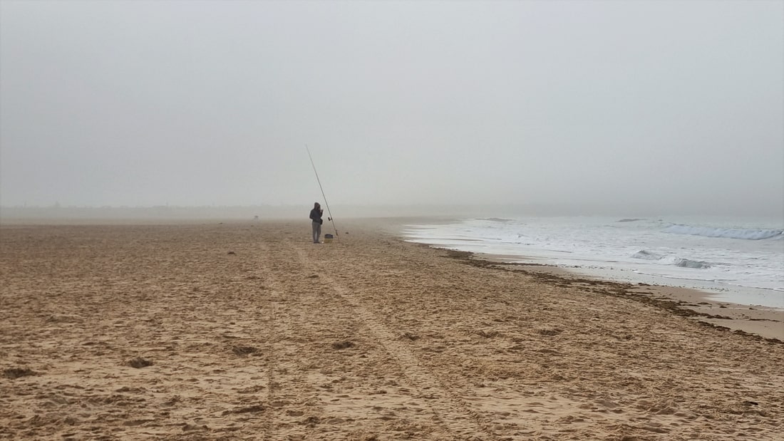 plaz spanelska tarifa mlha