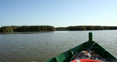 Valencia, Albufera, Gárgolas