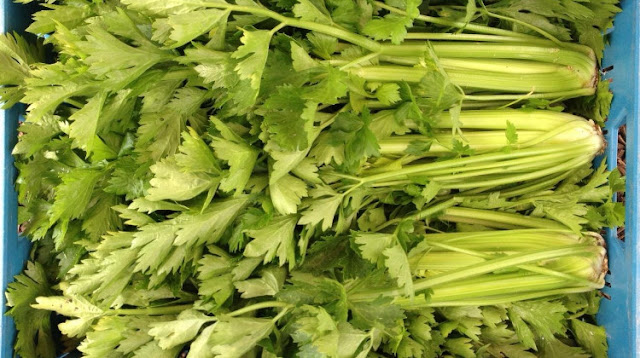 Great celery benefits for maintain digestive health.