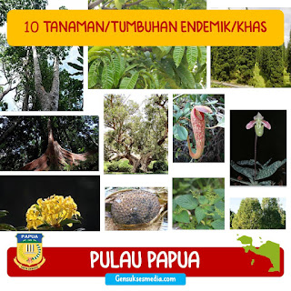 10 tanaman atau tumbuhan endemik khas papua