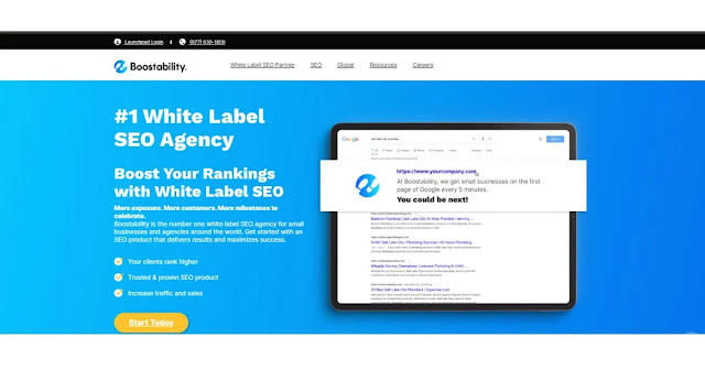best SEO company primelis