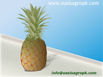 www.oasisagropk.com