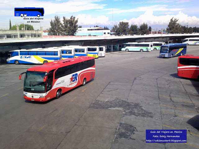 Estrella Roja Pullman Primera Clase