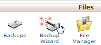 Backup wizard cpanel