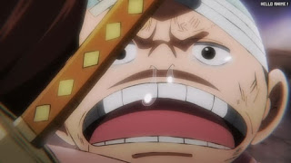 ワンピースアニメ 1035話 モモの助 | ONE PIECE Episode 1035