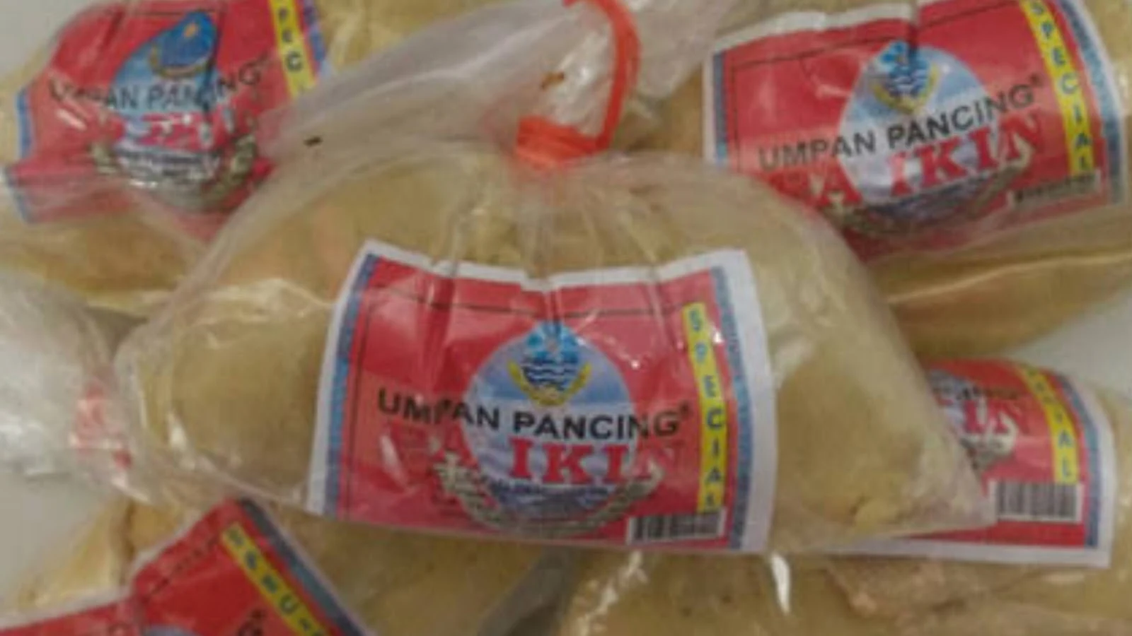 paikin gacor umpan ikan mas paling jitu