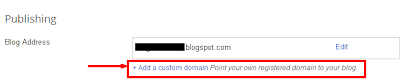 Custom Domain Setting