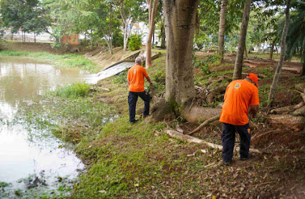  Prefeitura de Atibaia intensifica ações de prevenção e combate à dengue e a animais peçonhentos