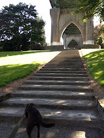 Ann Again... and again  Benny and Cathedral Park Portland Oregon