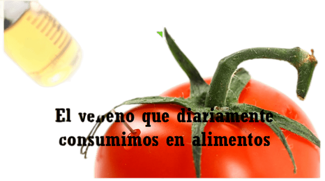 ALIMENTOS