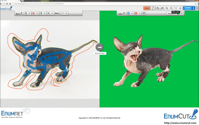 Enumcut :  Remove Background from image (1 Day 3 free download) 