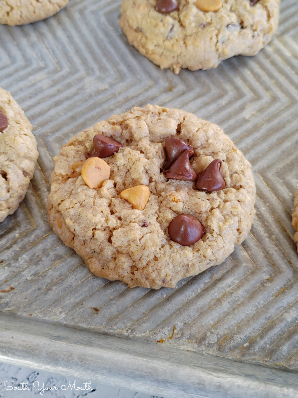 Thick, Soft & Chewy Oatmeal Cookies! A recipe for tender, thick, soft, chewy oatmeal cookies (and how to achieve those three qualities!) perfect with chocolate chips, butterscotch morsels, raisins and/or nuts – just add what you like best!