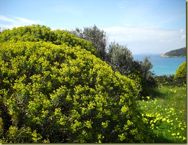 DSCN0920