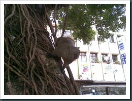 20110101(003)