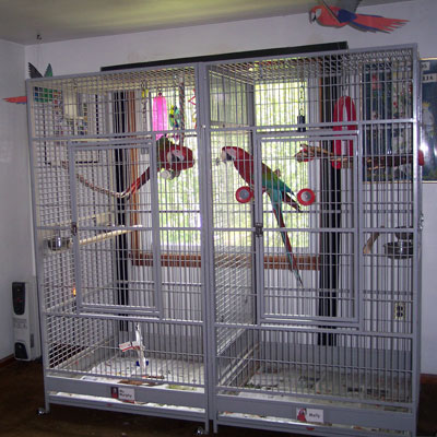 Huge Bird Cage