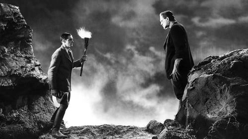 El doctor Frankenstein 1931 pelicula para descargar