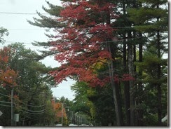 DSCN0462