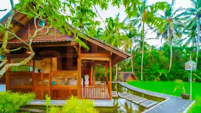 Ubud, Best Place in Bali to Stay