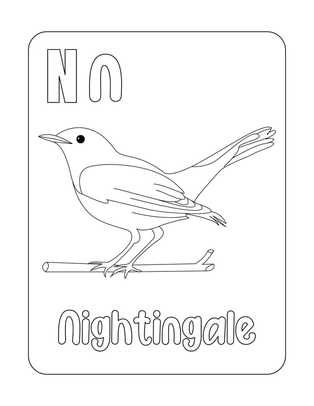 Tranh tô màu con (Nightingale)