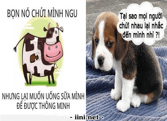 Thơ chém gió 2 con vần o