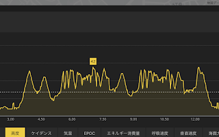 三ツ池公園 トレイル 階段 ランニング