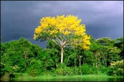 images (3)