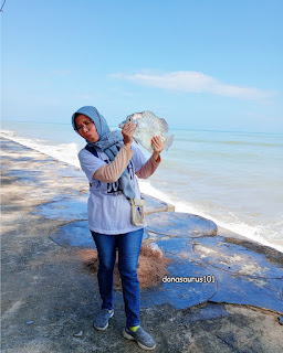 ikan napoleon pantai pasar bawah manna