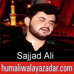 https://humaliwalaazadar.blogspot.com/2019/08/sajjad-ali-nohay-2020.html
