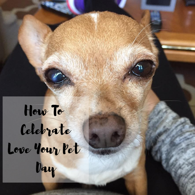 How To Celebrate Love Your Pet Day
