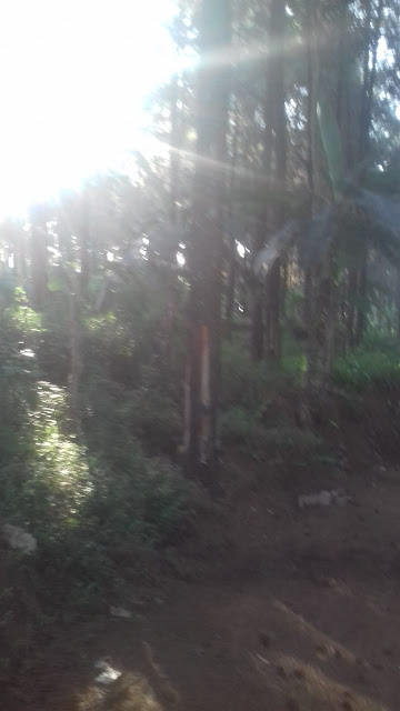 gunung katu