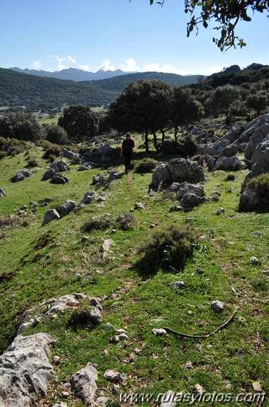 Calzada de Villaluenga a Grazalema