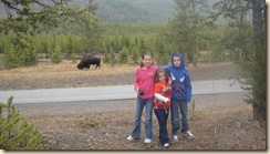 Yellowstone 029
